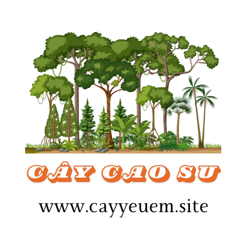 cayyeuem.site