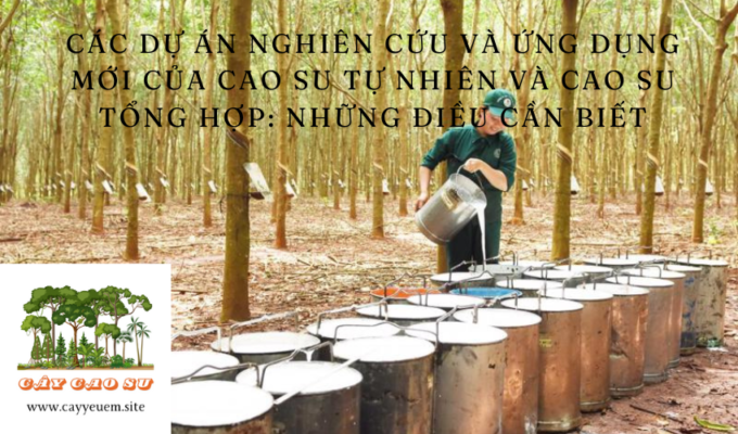 Các dự án nghiên cứu và ứng dụng mới của cao su tự nhiên và cao su tổng hợp: Những điều cần biết