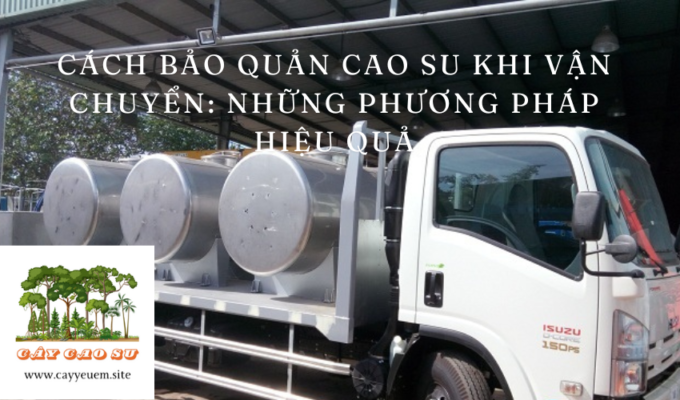 Cách bảo quản cao su khi vận chuyển: Những phương pháp hiệu quả