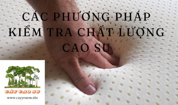 Các phương pháp kiểm tra chất lượng cao su